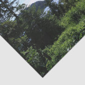 アラスカ景観美しいアラスカ写真 薄葉紙 (詳細)