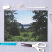 アラスカ景観美しいアラスカ写真 薄葉紙 (クラフト)