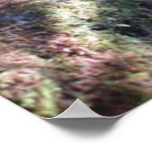 アラスカ森林トレイル ポスター (角)