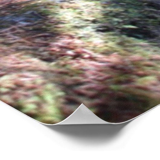 アラスカ森林トレイル ポスター (角)