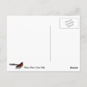 アラスカ氷河彫刻の谷 ポストカード (裏面)