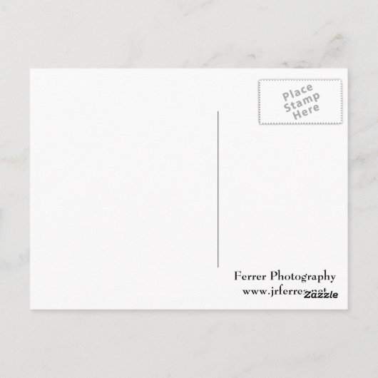 アラスカ氷河 ポストカード (裏面)