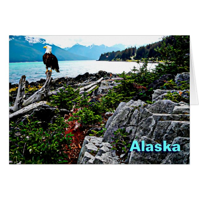 アラスカ沿岸のハゲのワシ (正面横)