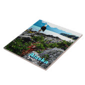 アラスカ沿岸のハゲのワシ タイル (側面)