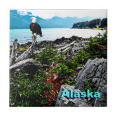 アラスカ沿岸のハゲのワシ タイル (正面)