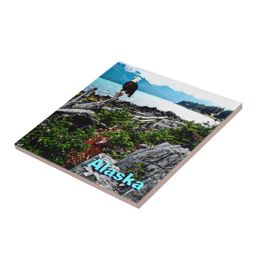 アラスカ沿岸のハゲのワシ タイル (側面)