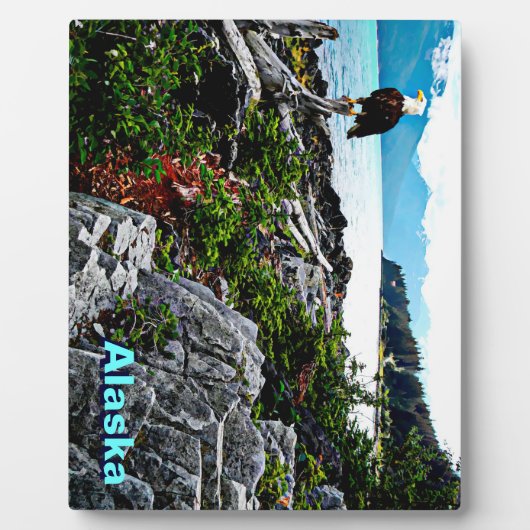 アラスカ沿岸のハゲのワシ フォトプラーク (正面)