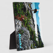 アラスカ沿岸のハゲのワシ フォトプラーク (側面)