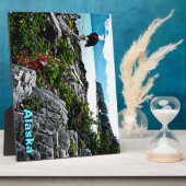 アラスカ沿岸のハゲのワシ フォトプラーク (側面)