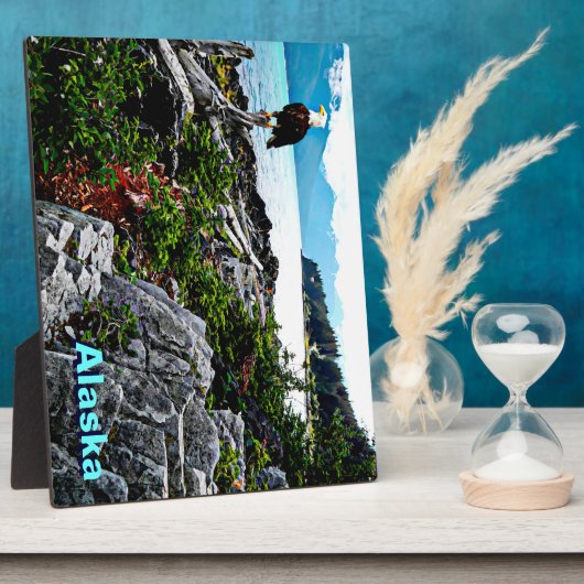 アラスカ沿岸のハゲのワシ フォトプラーク (側面)