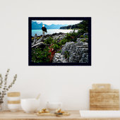 アラスカ沿岸のハゲのワシ ポスター (キッチン)