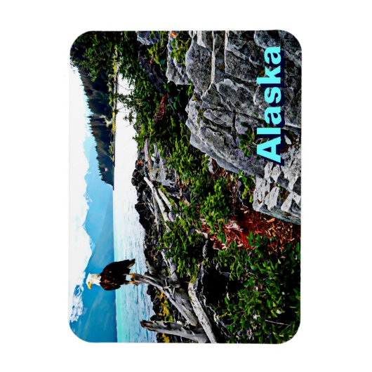 アラスカ沿岸のハゲのワシ マグネット (縦)