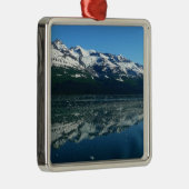 アラスカ海岸線美しい自然写真 メタルオーナメント (右)