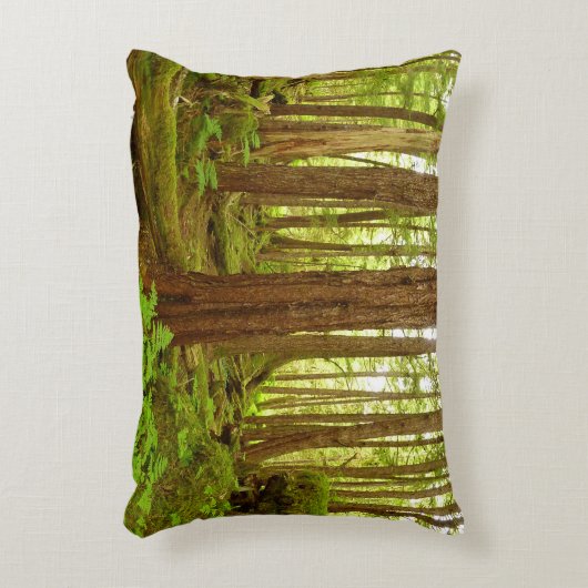 アラスカ温帯雨林 アクセントクッション (正面(垂直))