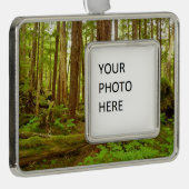 アラスカ温帯雨林 シルバープレートフレームオーナメント (右)