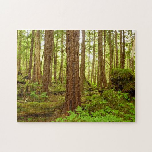 アラスカ温帯雨林 ジグソーパズル (横)