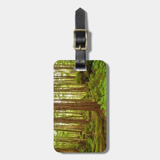 アラスカ温帯雨林 ラゲッジタグ (正面縦)