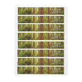 アラスカ温帯雨林 ラップアラウンドラベル (シート)