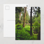 アラスカ熱帯雨林 ポストカード (正面/裏面)