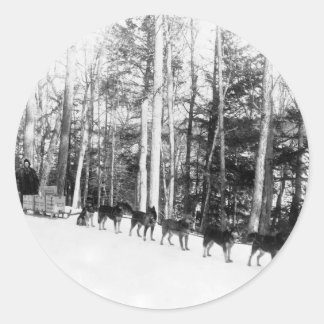 アラスカ犬そり ラウンドシール