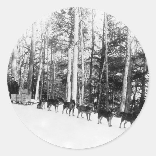 アラスカ犬そり ラウンドシール (正面)