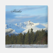 アラスカ磁石 マグネット (正面)