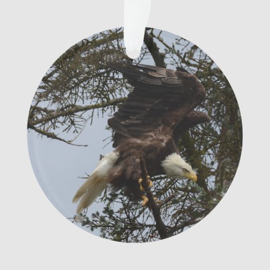 アラスカ米国の白頭鷲 オーナメント (正面)