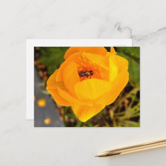 アラスカ美しい ポストカード