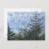 アラスカ美しい ポストカード (正面/裏面)