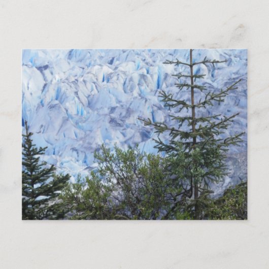 アラスカ美しい ポストカード (正面)