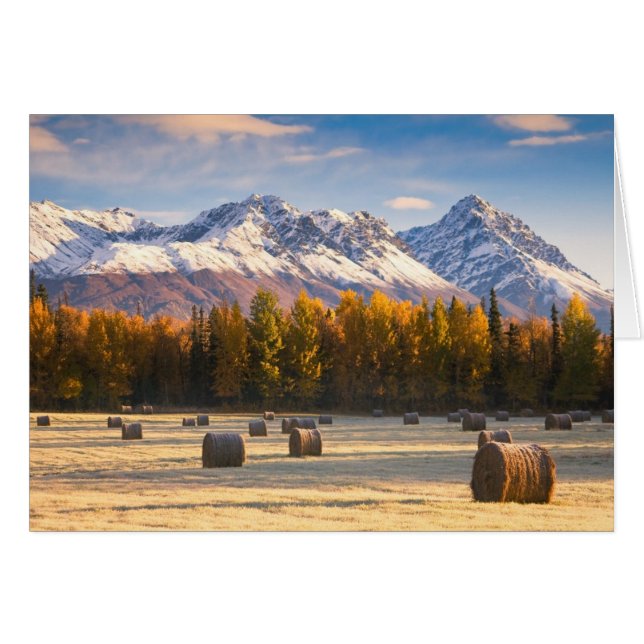 アラスカ農業 (正面横)