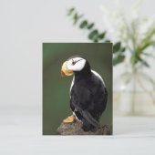 アラスカ野生生物 ポストカード (スタンド正面)