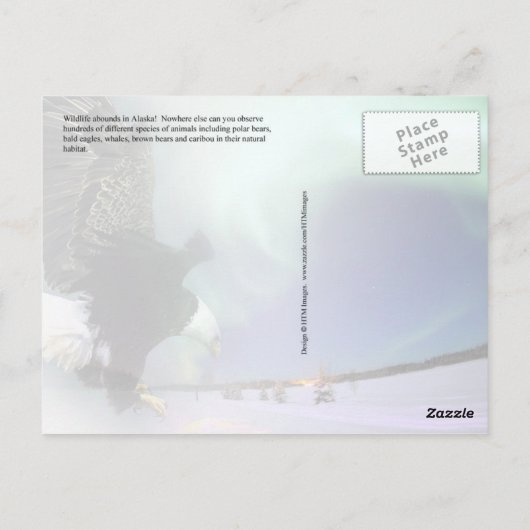 アラスカ野生生物 ポストカード (裏面)
