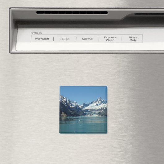 アラスカ食べ物を与え氷河水域 マグネット (インサイチュ (食洗機))