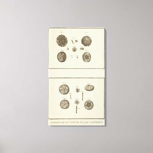 アラスカ10 キャンバスプリント (正面)