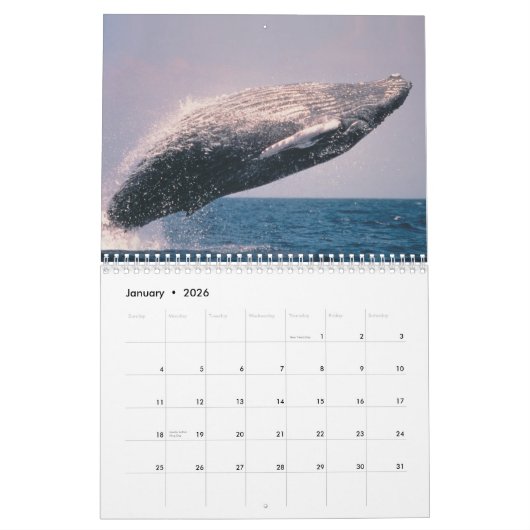 アラスカ2012のカレンダーの驚異 カレンダー (1月 2026)