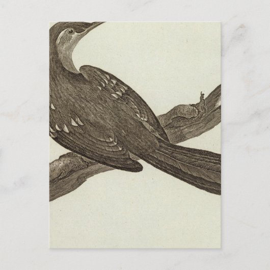 アラスカ2 ポストカード (正面)