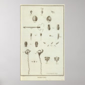 アラスカ3 ポスター (正面)