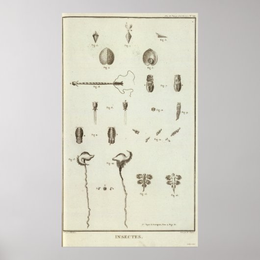 アラスカ3 ポスター (正面)