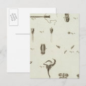 アラスカ3 ポストカード (正面/裏面)