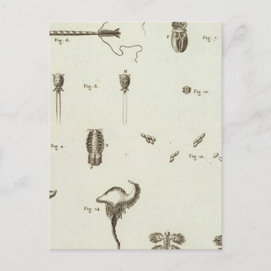 アラスカ3 ポストカード (正面)