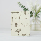 アラスカ3 ポストカード (スタンド正面)