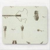 アラスカ3 マウスパッド (正面)