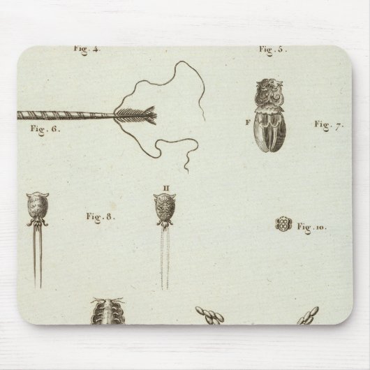 アラスカ3 マウスパッド (正面)