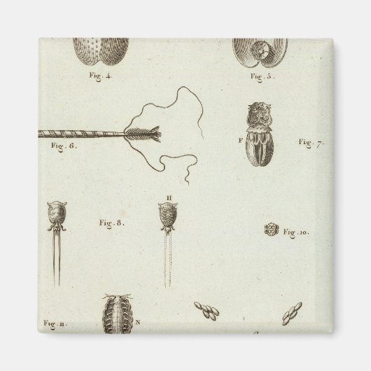 アラスカ3 マグネット (正面)