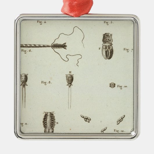 アラスカ3 メタルオーナメント (正面)