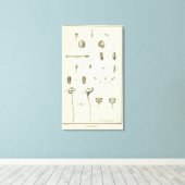 アラスカ5 キャンバスプリント (インサイチュ (ウッドフロア))