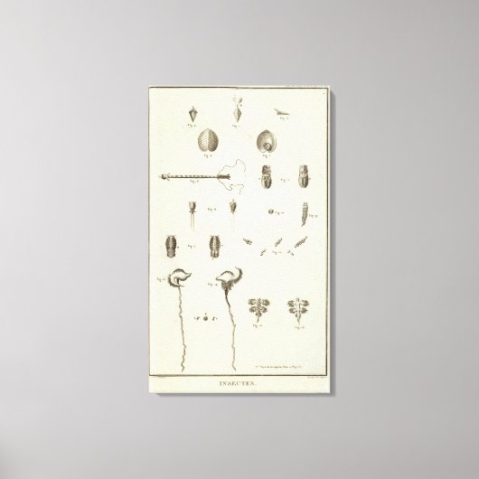 アラスカ5 キャンバスプリント (正面)