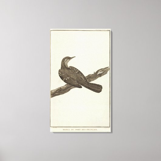 アラスカ6 キャンバスプリント (正面)