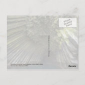 アラスカ、アクン島、柱状玄武岩 ポストカード (裏面)